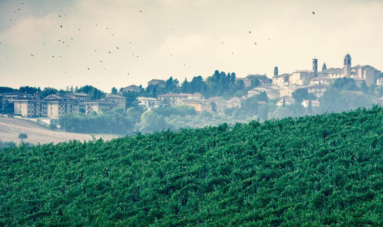 Filodivino Wine Resort & Spa San Marcello  Ngoại thất bức ảnh